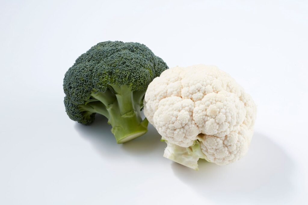 Aliments et fertilité en France