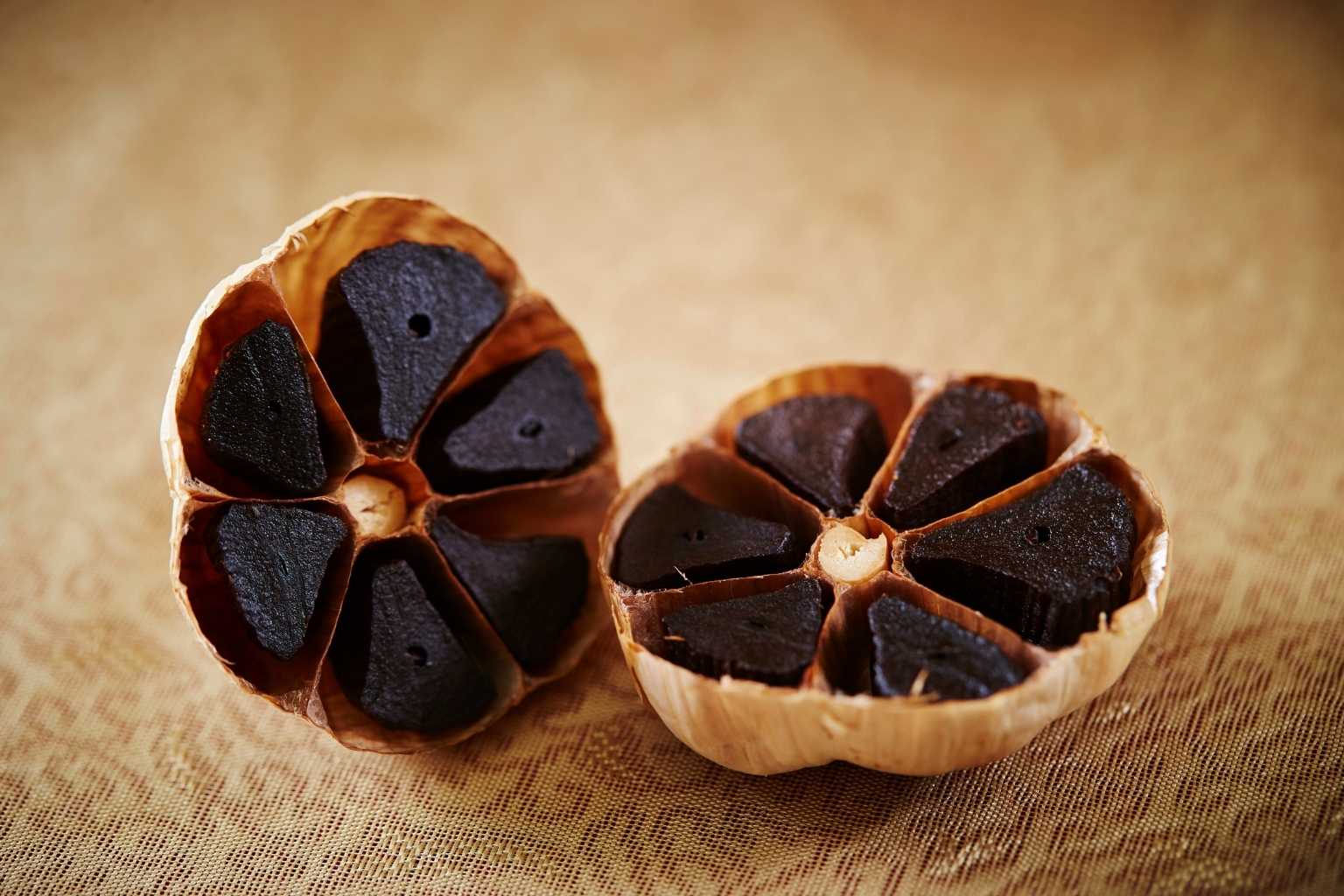 Comparatif : Allopathie vs Solutions Naturelles