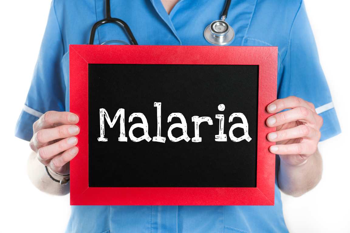 Paludisme pour les professionnels de santé.