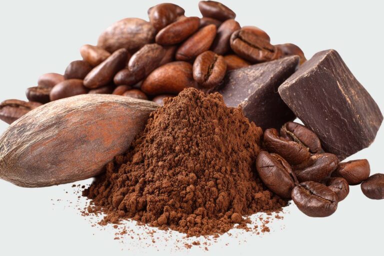 cacao cameroun